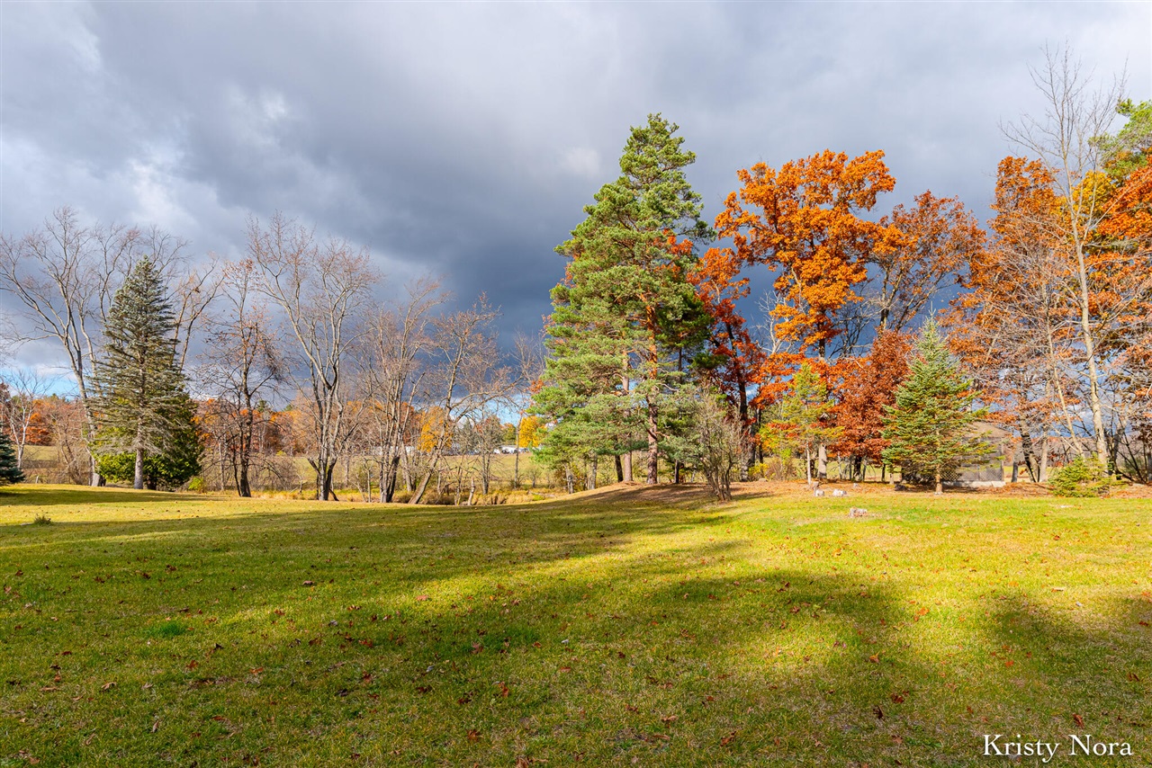 Homes for sale in Gowen, MI | 11026 W Sidney Rd, Gowen, MI 49326 | MLS# 70503657
