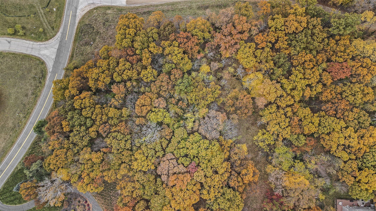 Homes for sale in Chelsea, MI | 896 Ridge Rd, Chelsea, MI 48118 | MLS# 70503700