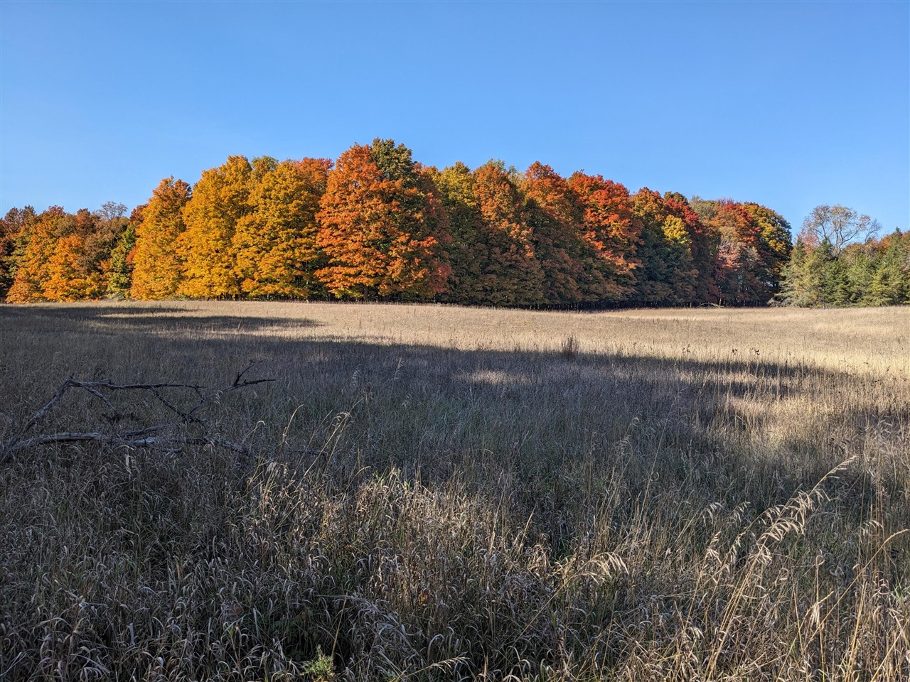 Homes for sale in Luther, MI | 1103 N Frank Smith Rd, Luther, MI 49656 | MLS# 70503864