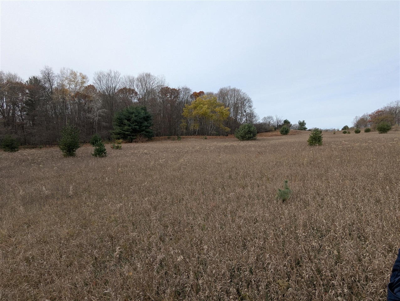 Homes for sale in Luther, MI | 1103 N Frank Smith Rd, Luther, MI 49656 | MLS# 70503864