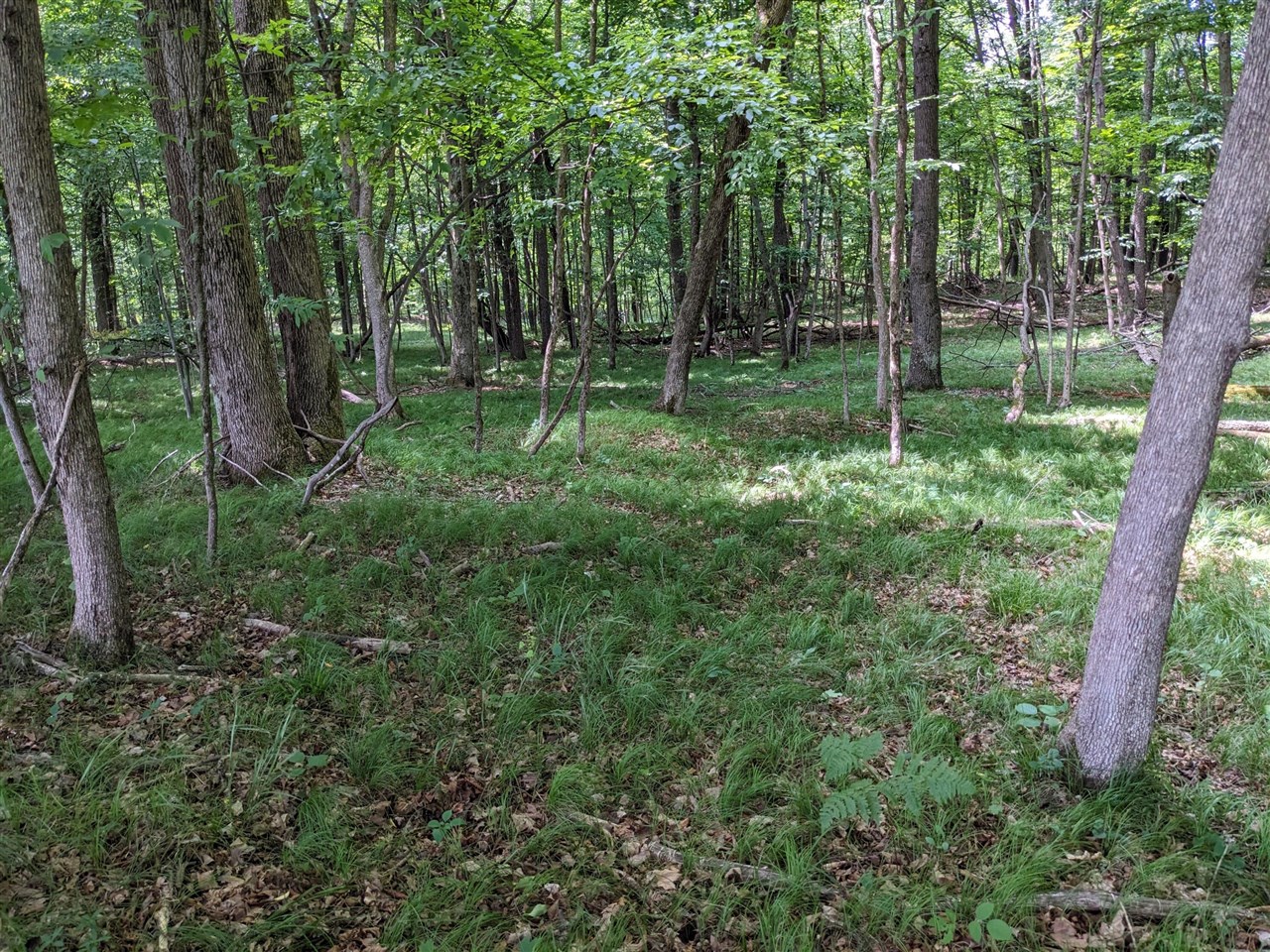 Homes for sale in Luther, MI | 1103 N Frank Smith Rd, Luther, MI 49656 | MLS# 70503864