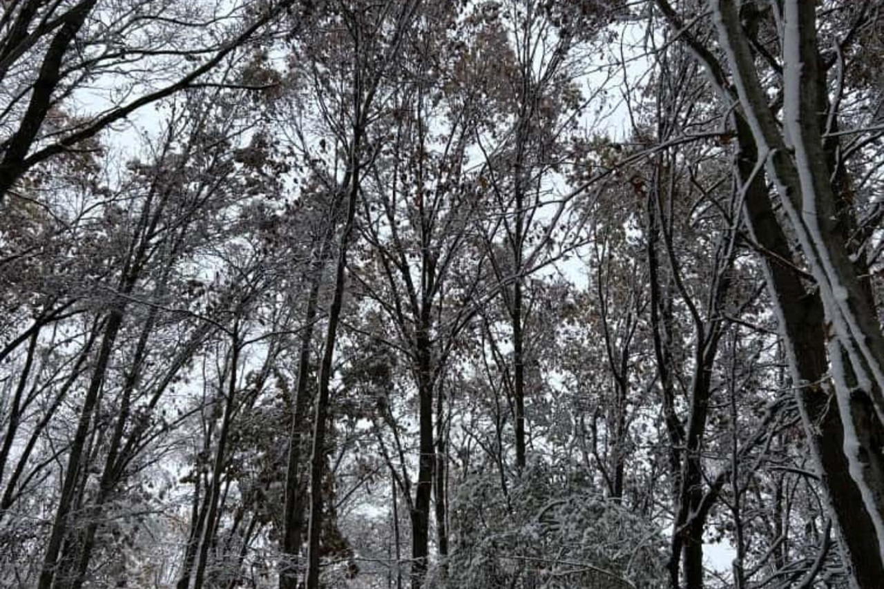 Homes for sale in Litchfield, MI | W Mosherville Rd, Litchfield, MI 49252 | MLS# 70504025