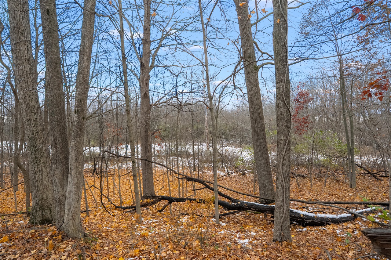 Homes for sale in Lawton, MI | 00000 22nd St, Lawton, MI 49065 | MLS# 70504117