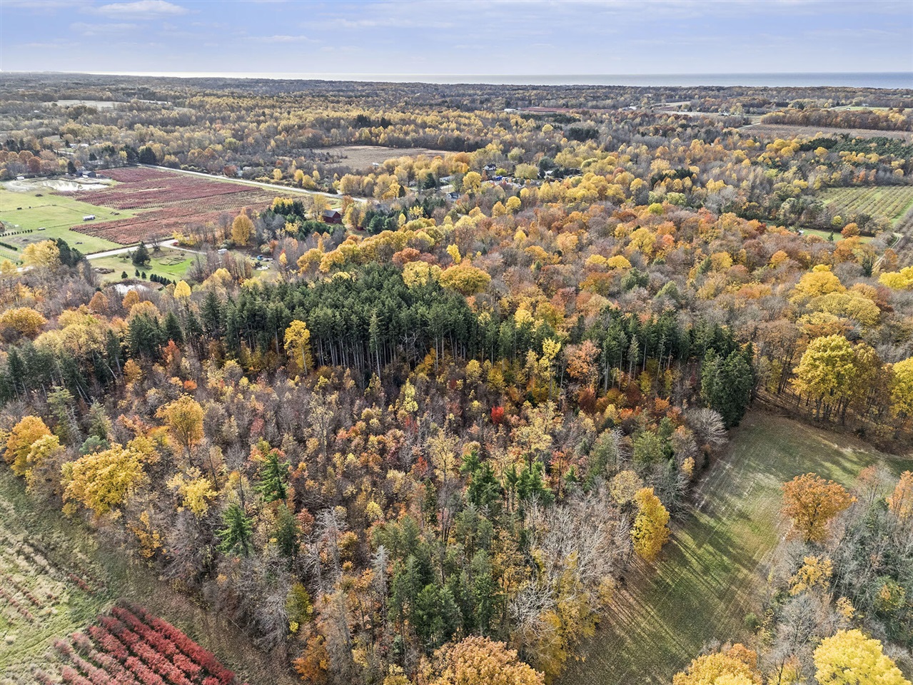 Homes for sale in Fennville, MI | 1816 66th St, Fennville, MI 49408 | MLS# 70504176