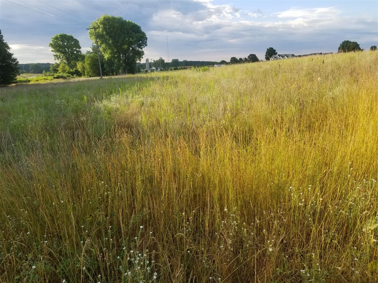 Homes for sale in Chelsea, MI | 859 Greystone Dr, Chelsea, MI 48118 | MLS# 70504204