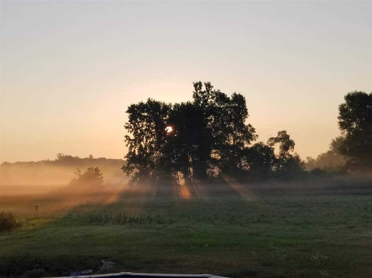 Homes for sale in Chelsea, MI | 859 Greystone Dr, Chelsea, MI 48118 | MLS# 70504204