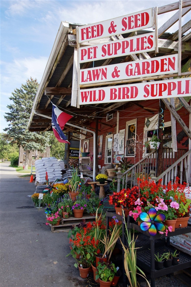 Homes for sale in Chelsea, MI | 859 Greystone Dr, Chelsea, MI 48118 | MLS# 70504204