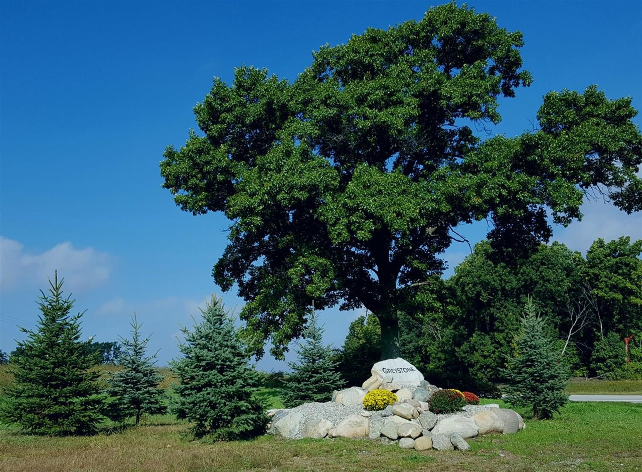 Homes for sale in Chelsea, MI | 859 Greystone Dr, Chelsea, MI 48118 | MLS# 70504204