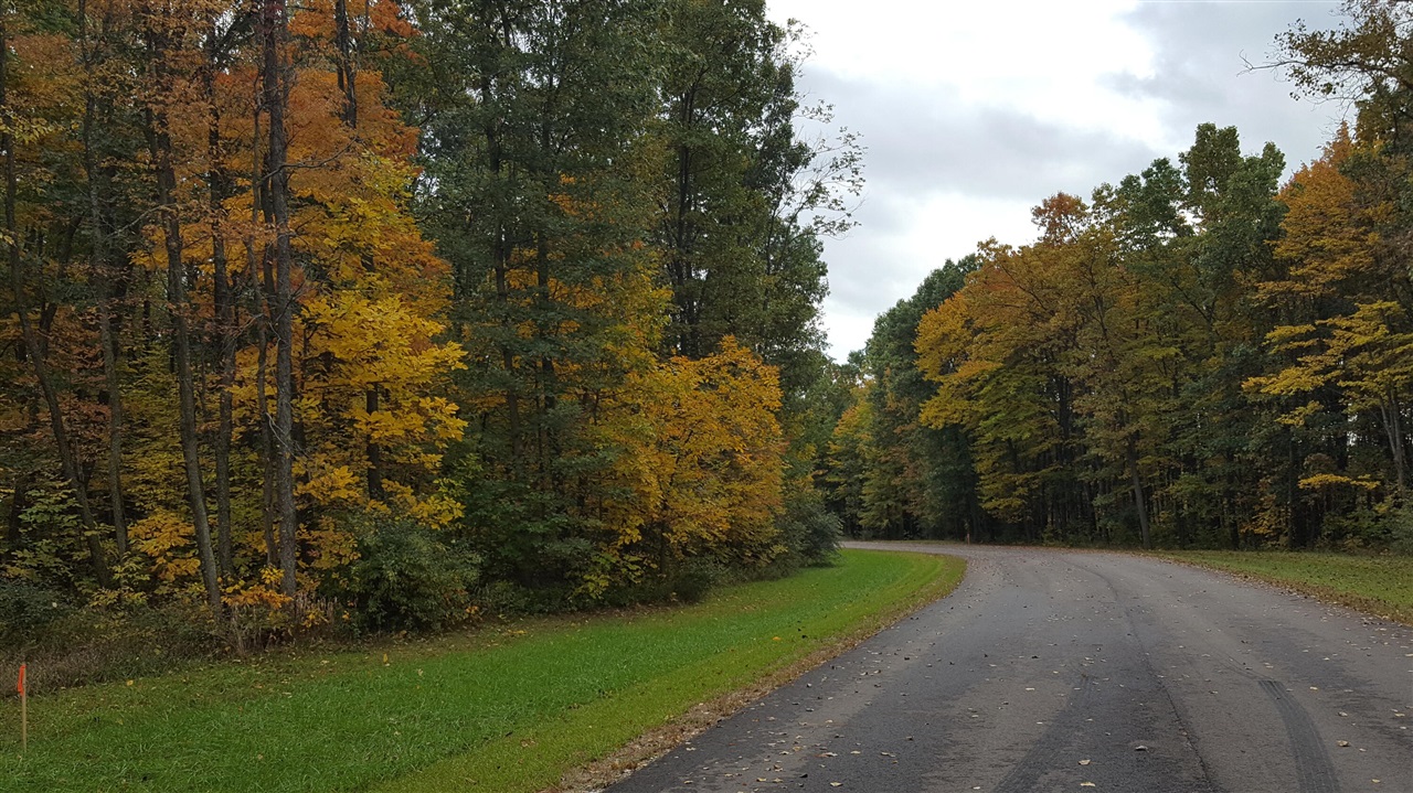 Homes for sale in Chelsea, MI | 859 Greystone Dr, Chelsea, MI 48118 | MLS# 70504204