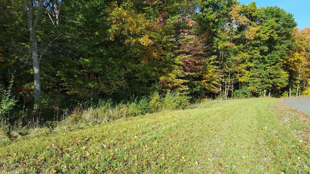 Homes for sale in Chelsea, MI | 859 Greystone Dr, Chelsea, MI 48118 | MLS# 70504204