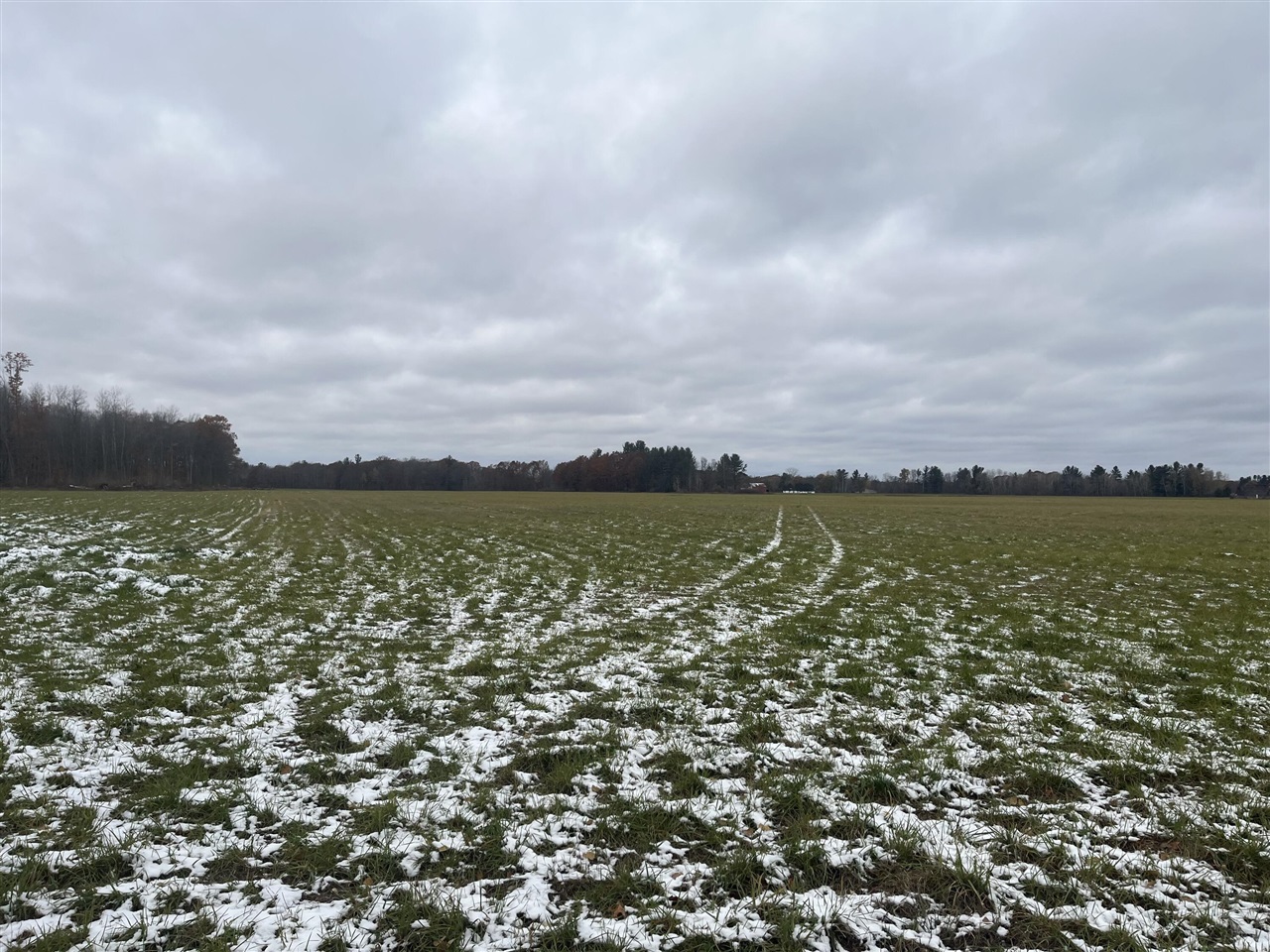 Homes for sale in Lakeview, MI | 11477 N Johnson Rd, Lakeview, MI 48850 | MLS# 70504343