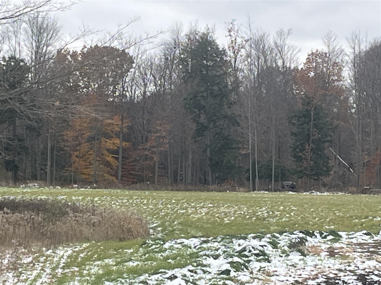 Homes for sale in Lakeview, MI | 11477 N Johnson Rd, Lakeview, MI 48850 | MLS# 70504343