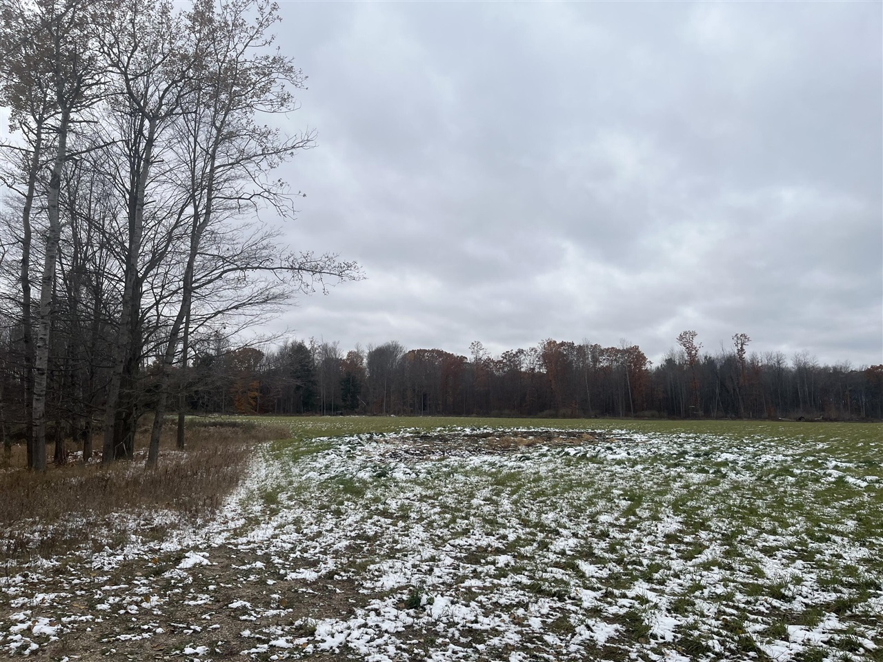 Homes for sale in Lakeview, MI | 11477 N Johnson Rd, Lakeview, MI 48850 | MLS# 70504343