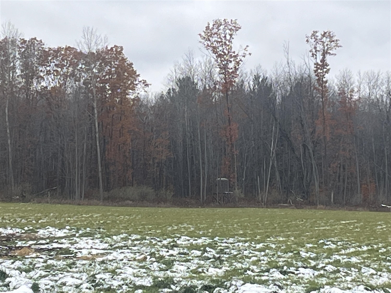 Homes for sale in Lakeview, MI | 11477 N Johnson Rd, Lakeview, MI 48850 | MLS# 70504343