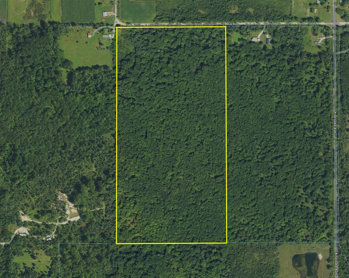 Homes for sale in Sand Lake, MI | 7710 21 Mile Rd, Sand Lake, MI 49343 | MLS# 70504373