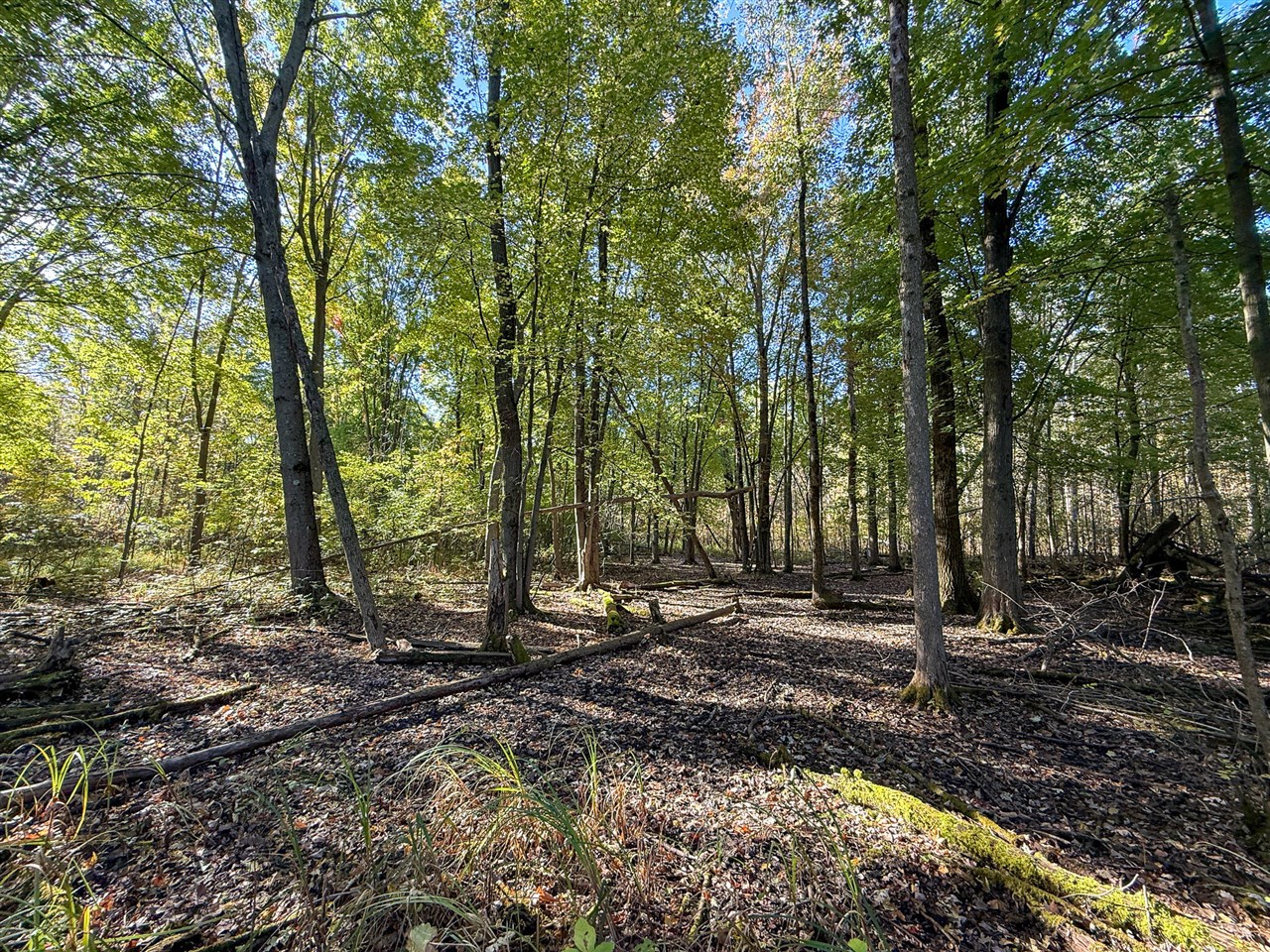 Homes for sale in Sand Lake, MI | 7710 21 Mile Rd, Sand Lake, MI 49343 | MLS# 70504373