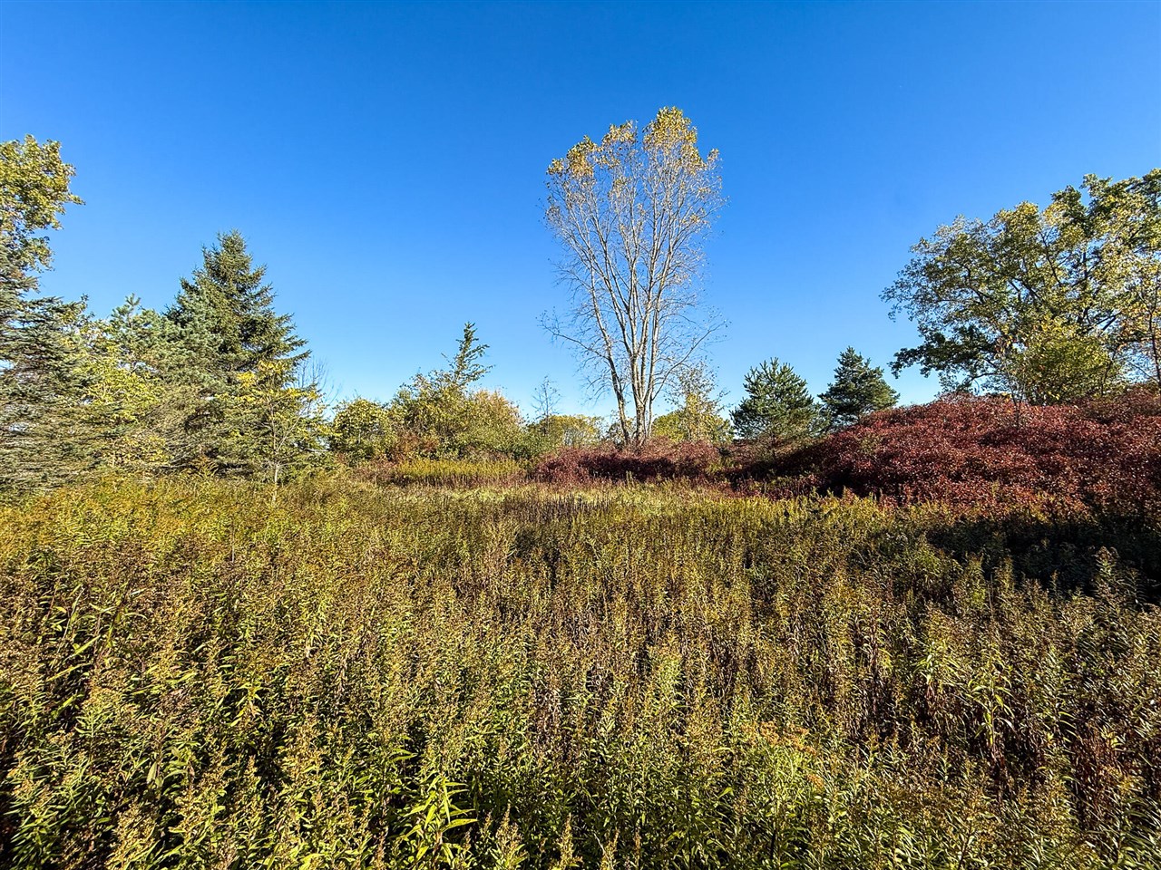 Homes for sale in Sand Lake, MI | 7710 21 Mile Rd, Sand Lake, MI 49343 | MLS# 70504373