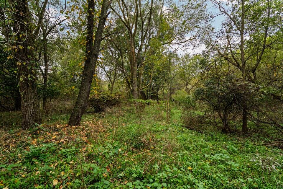 Homes for sale in Fowlerville, MI | Lot 32&37 N Ann St, Fowlerville, MI 48836 | MLS# 70504391