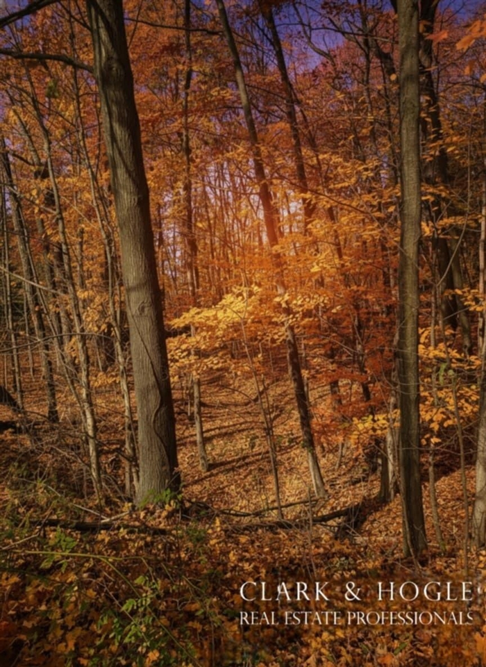 Homes for sale in Perrinton, MI | 0 Lakeside Dr, Perrinton, MI 48871 | MLS# 70504761