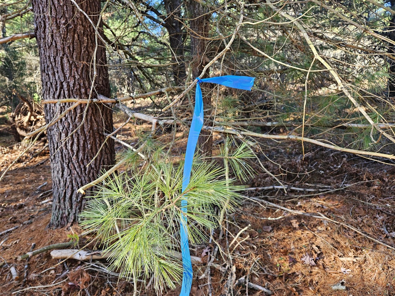 Homes for sale in Baldwin, MI | Parcel O Tatanka Trail, Baldwin, MI 49304 | MLS# 70504820