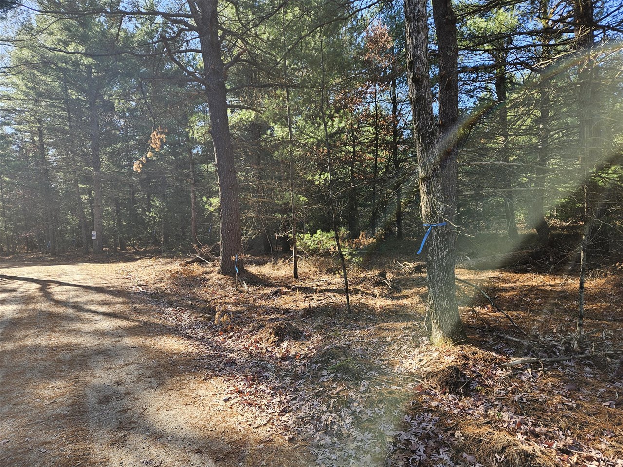 Homes for sale in Baldwin, MI | Parcel O Tatanka Trail, Baldwin, MI 49304 | MLS# 70504820