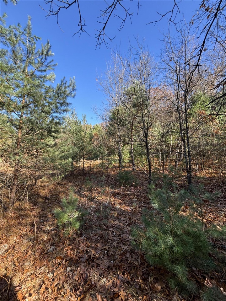 Homes for sale in Newaygo, MI | 8310 S Thornapple Ave, Newaygo, MI 49337 | MLS# 70504884