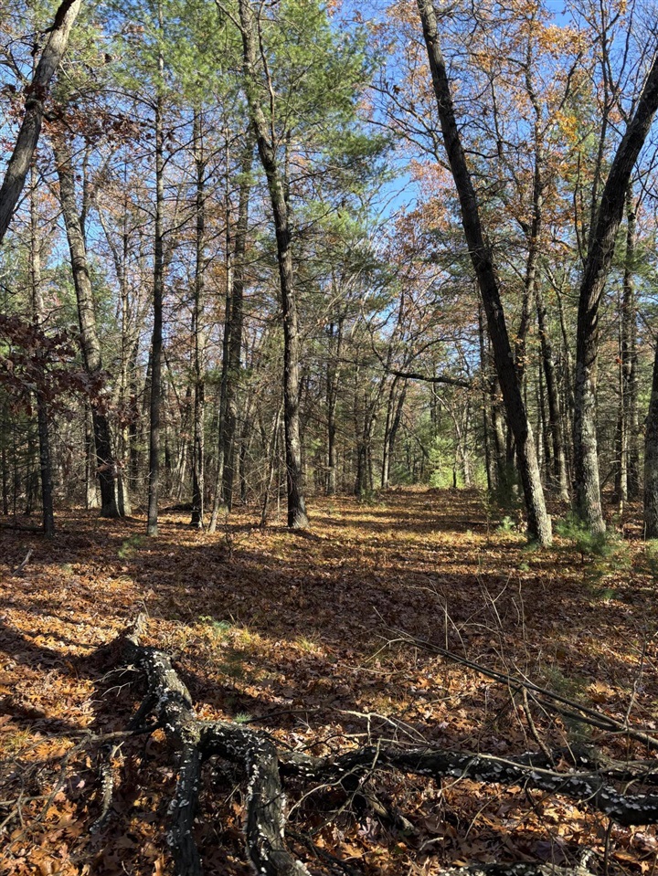 Homes for sale in Newaygo, MI | 8310 S Thornapple Ave, Newaygo, MI 49337 | MLS# 70504884