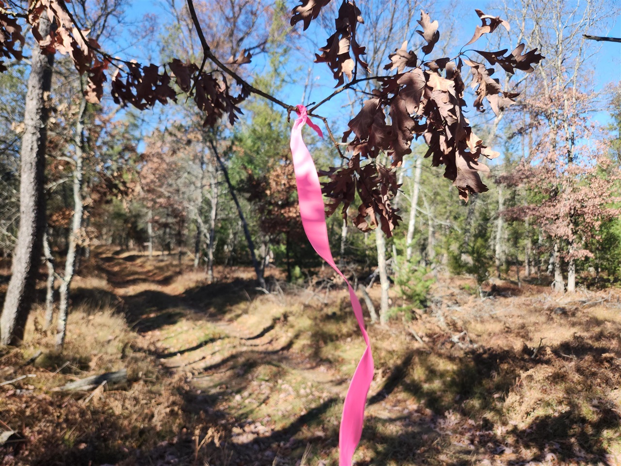 Homes for sale in Baldwin, MI | Vl W Trail 6545 (hb Road), Baldwin, MI 49304 | MLS# 70504952