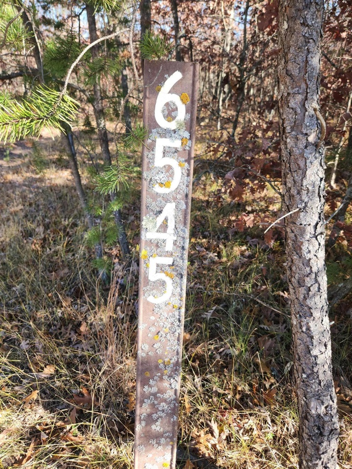 Homes for sale in Baldwin, MI | Vl W Trail 6545 (hb Road), Baldwin, MI 49304 | MLS# 70504952