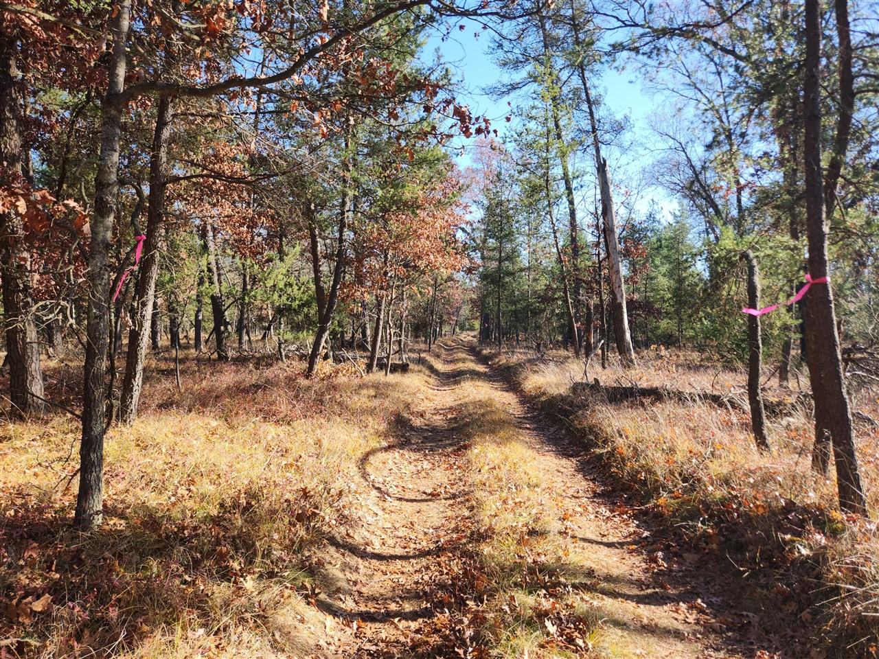 Homes for sale in Baldwin, MI | Vl W Trail 6545 (Hb Road), Baldwin, MI 49304 | MLS# 70504952