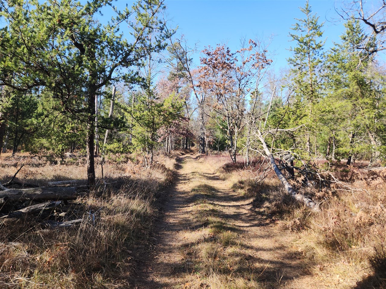 Homes for sale in Baldwin, MI | Vl W Trail 6545 (Hb Road), Baldwin, MI 49304 | MLS# 70504952