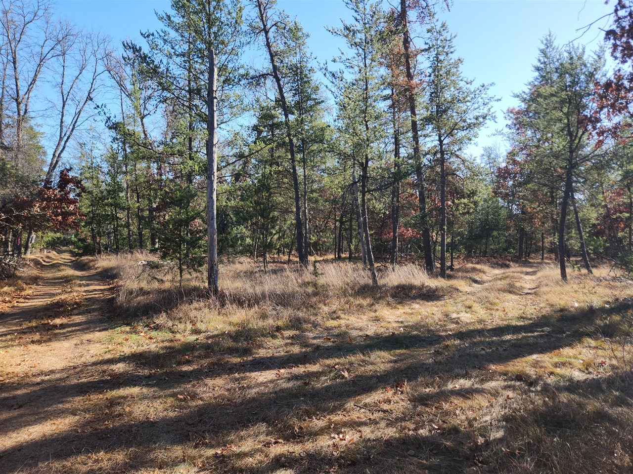 Homes for sale in Baldwin, MI | Vl W Trail 6545 (Hb Road), Baldwin, MI 49304 | MLS# 70504952