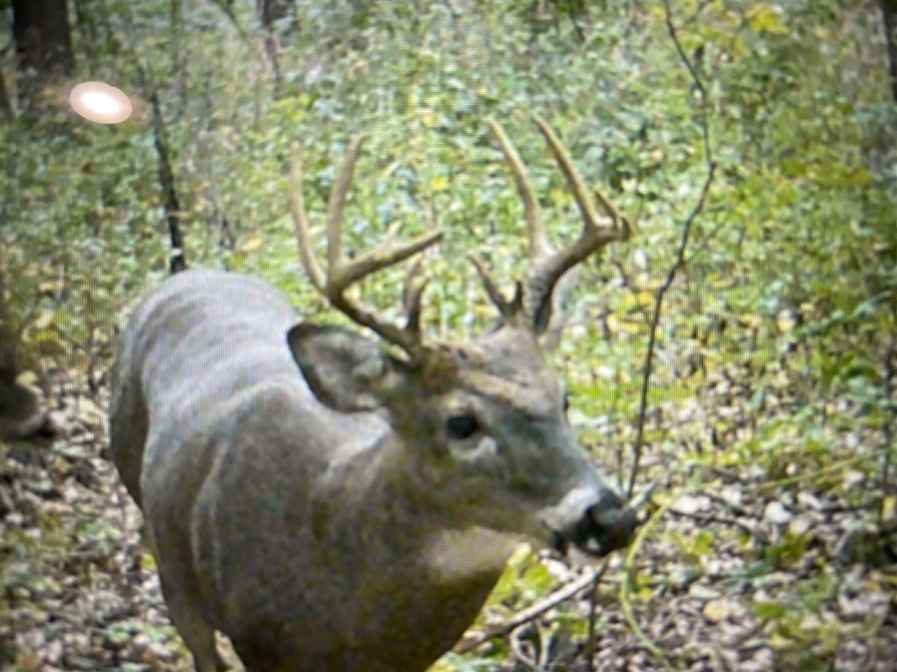 Homes for sale in Galesburg, MI | 11265 E H J Ave, Galesburg, MI 49053 | MLS# 70505504