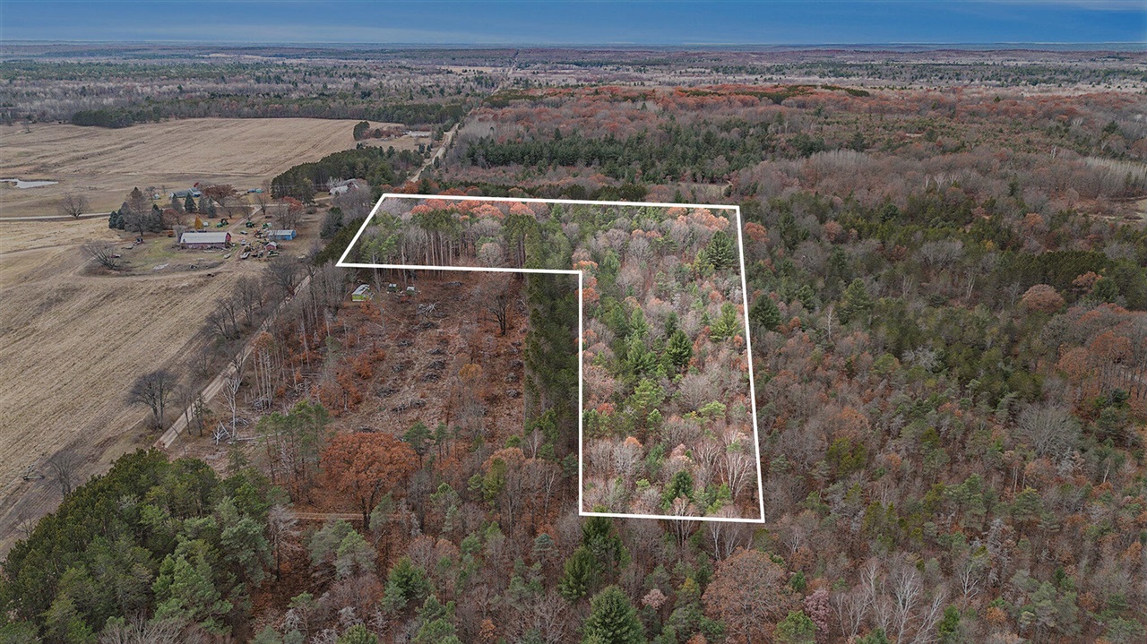 Homes for sale in Bitely, MI | 3205 E 14 Mile Rd, Bitely, MI 49309 | MLS# 70506490