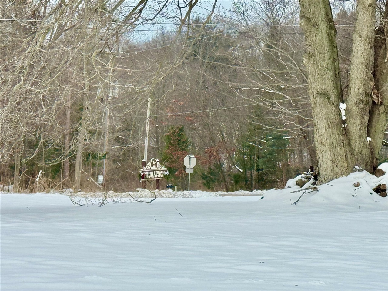 Homes for sale in Saugatuck, MI | 6593 134Th Ave, Saugatuck, MI 49453 | MLS# 70506770