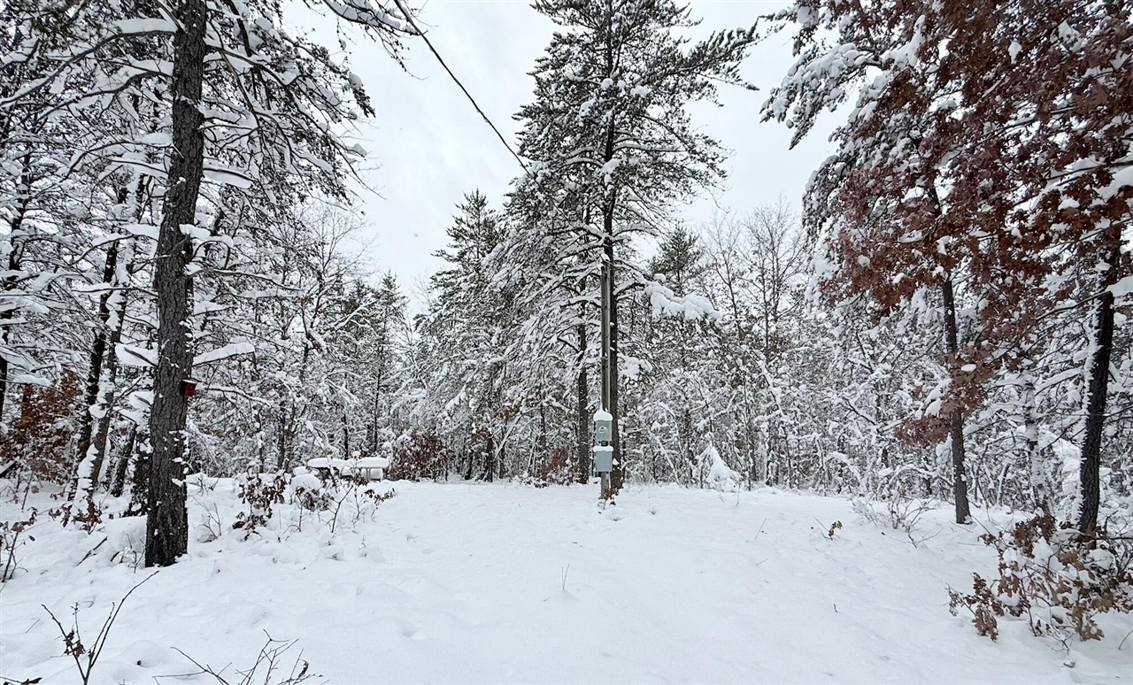 Homes for sale in Bitely, MI | 11335 S Broadway St, Bitely, MI 49309 | MLS# 70506930