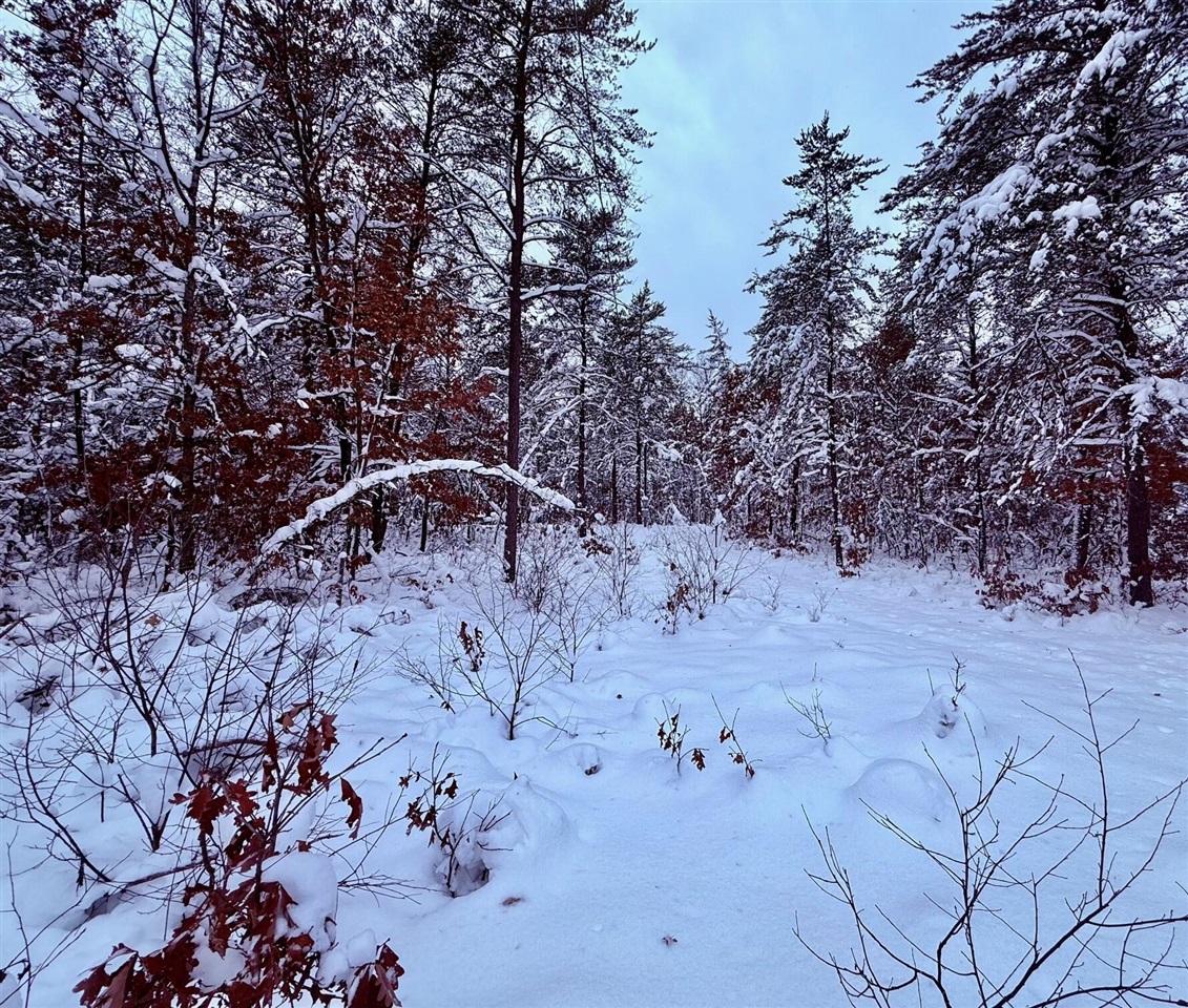 Homes for sale in Bitely, MI | 11335 S Broadway St, Bitely, MI 49309 | MLS# 70506930