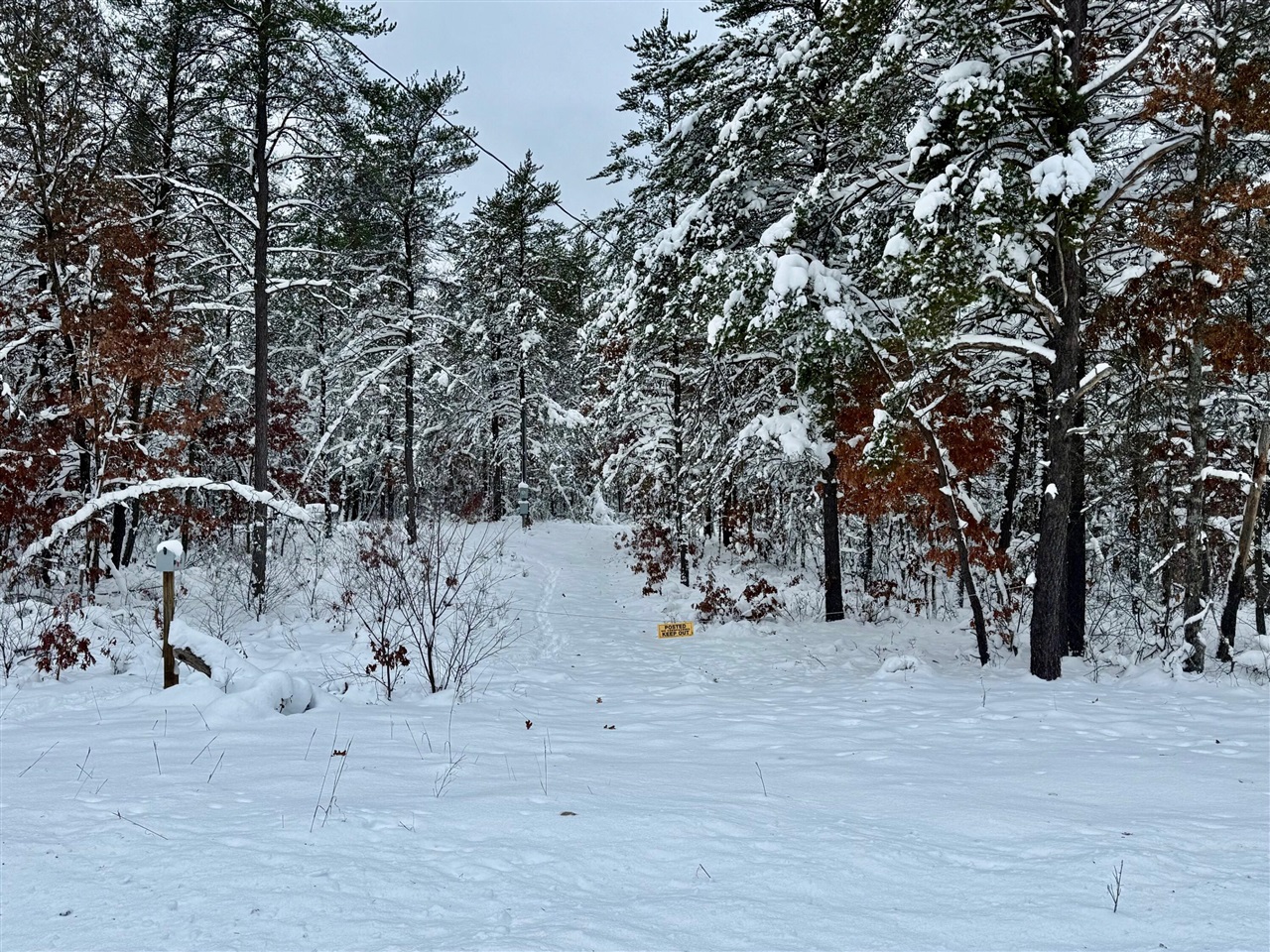 Homes for sale in Bitely, MI | 11335 S Broadway St, Bitely, MI 49309 | MLS# 70506930