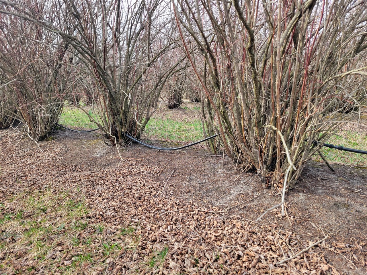 Homes for sale in Covert, MI | V/L 72Nd St, Covert, MI 49043 | MLS# 70507223