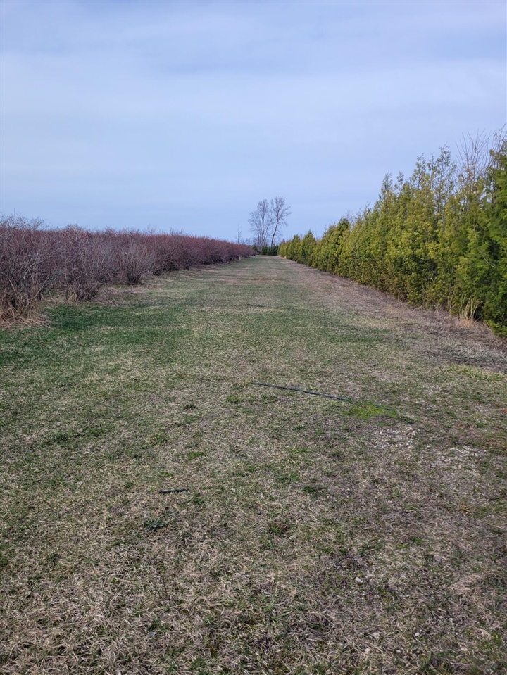 Homes for sale in Covert, MI | V/L 72Nd St, Covert, MI 49043 | MLS# 70507223