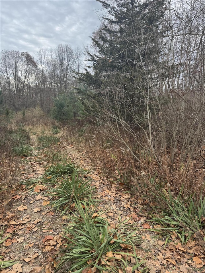 Homes for sale in South Haven, MI | 6190 102nd Ave, South Haven, MI 49090 | MLS# 70507229