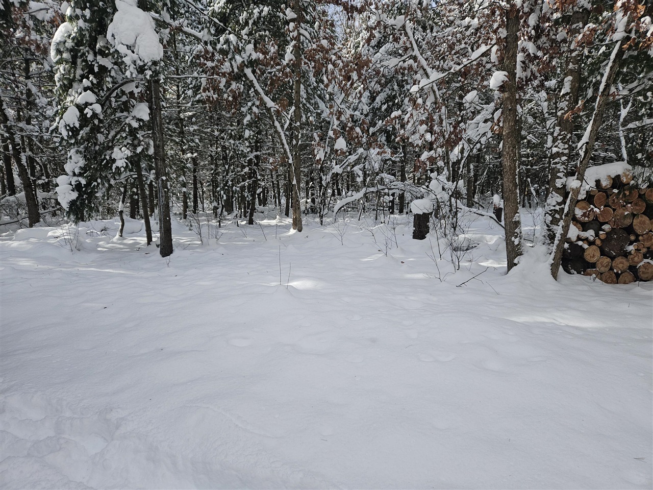 Homes for sale in Irons, MI | 7106 N M 37, Irons, MI 49644 | MLS# 70507453