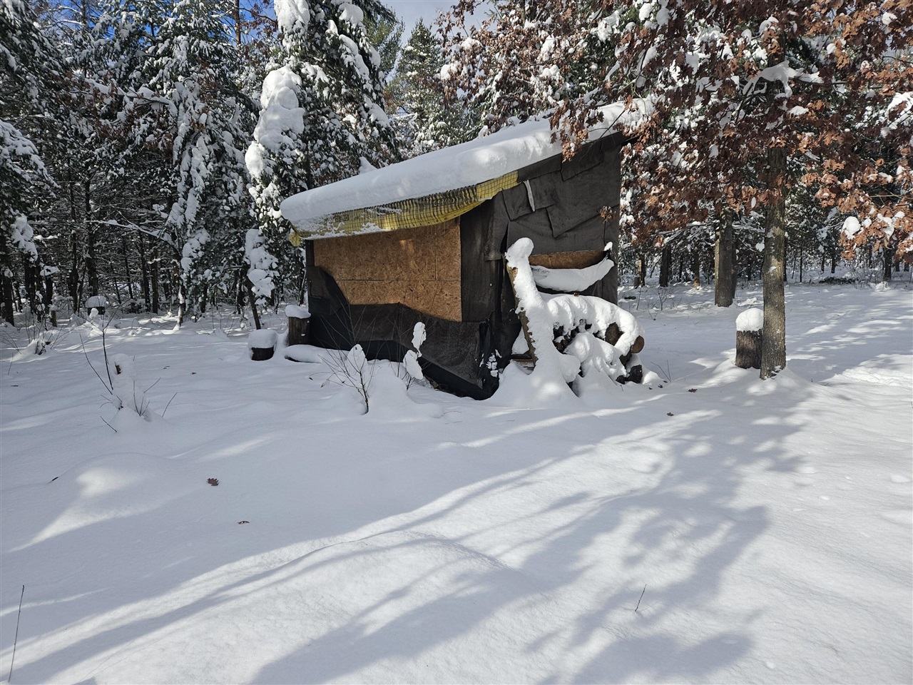 Homes for sale in Irons, MI | 7106 N M 37, Irons, MI 49644 | MLS# 70507453