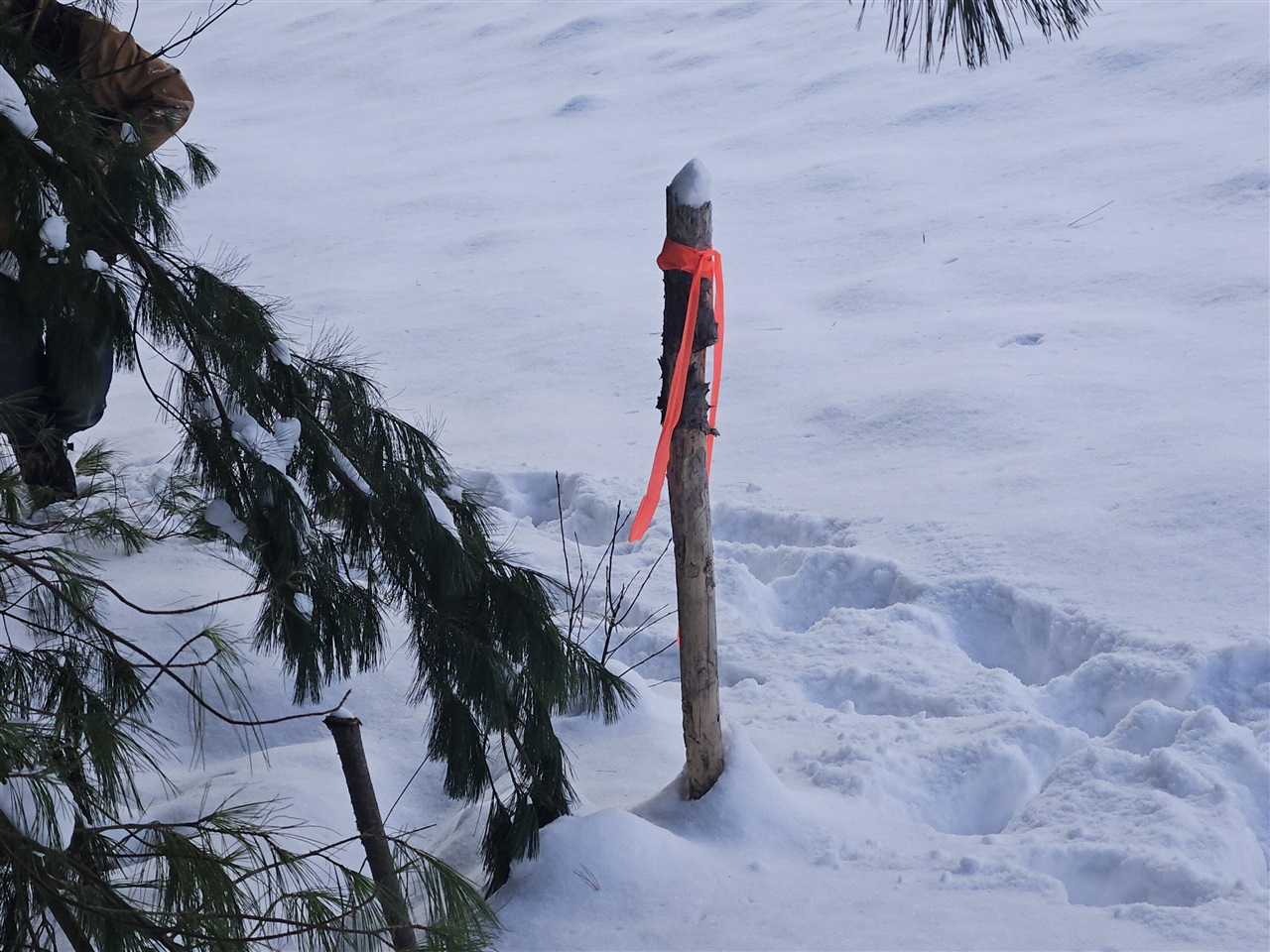 Homes for sale in Irons, MI | 7106 N M 37, Irons, MI 49644 | MLS# 70507453