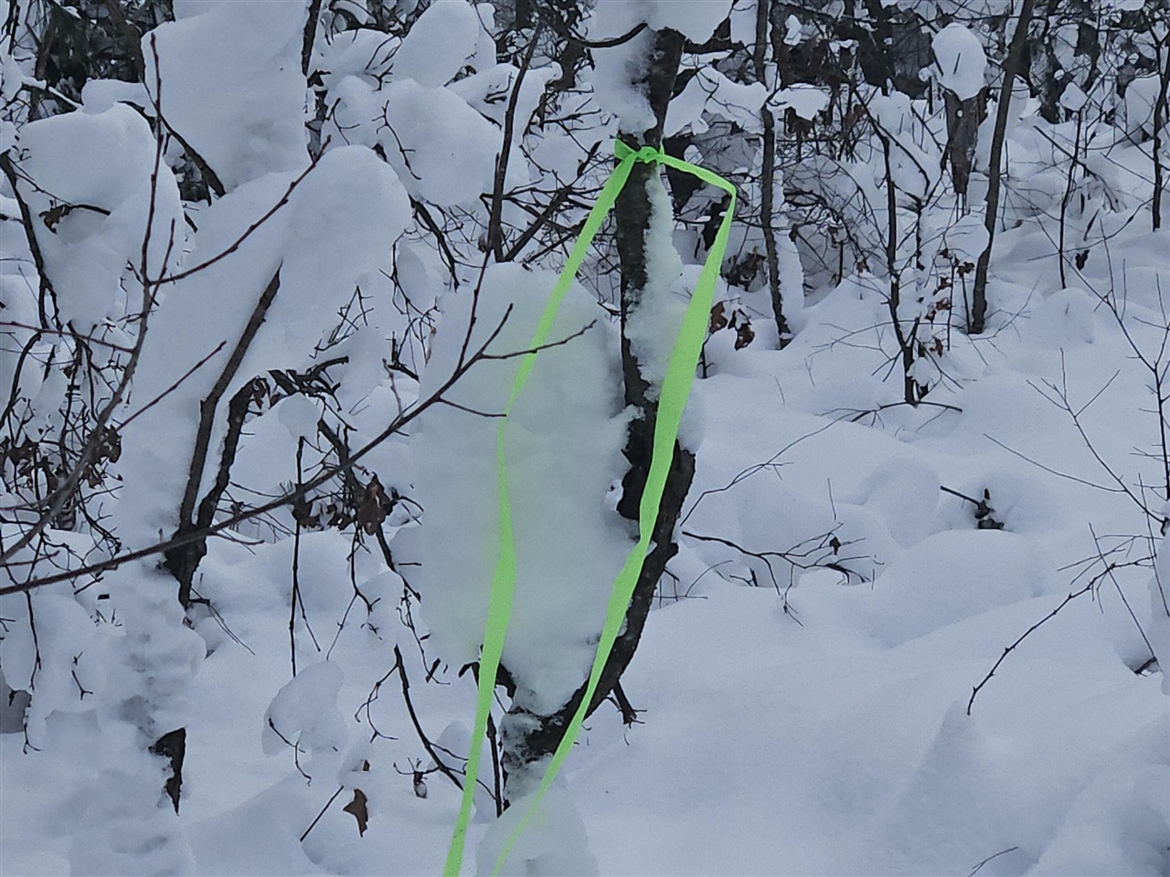 Homes for sale in Irons, MI | 7106 N M-37, Irons, MI 49644 | MLS# 70507453