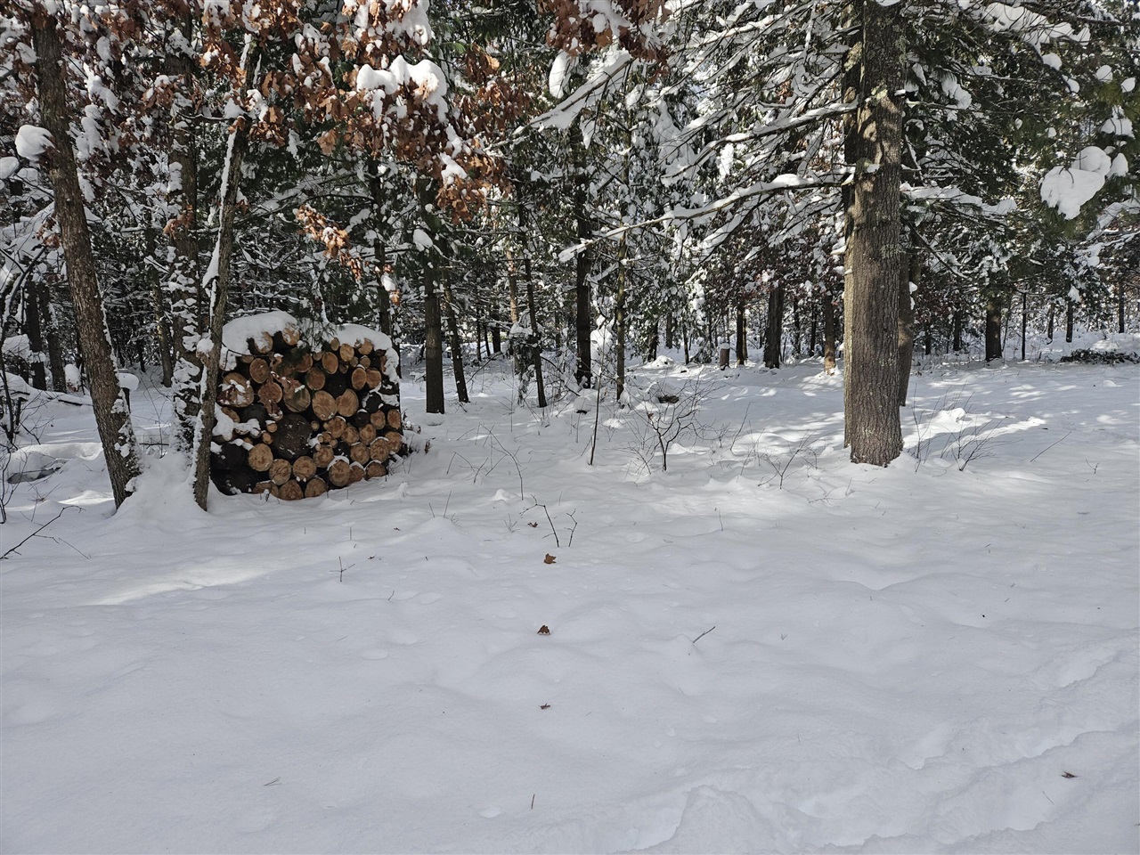 Homes for sale in Irons, MI | 7106 N M-37, Irons, MI 49644 | MLS# 70507453