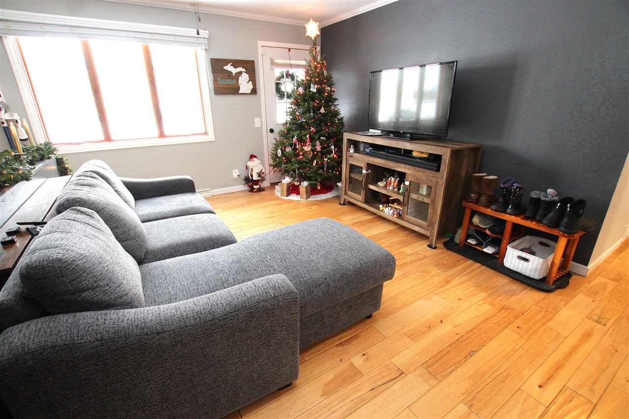 Homes for sale in Fremont, MI | 313 N Linden Ave, Fremont, MI 49412 | MLS# 70507536