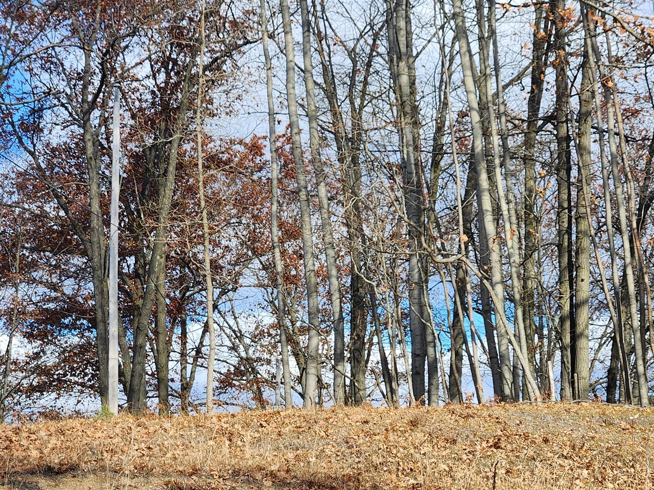 Homes for sale in Stanwood, MI | 10980 N Marywood Dr, Stanwood, MI 49346 | MLS# 70507638