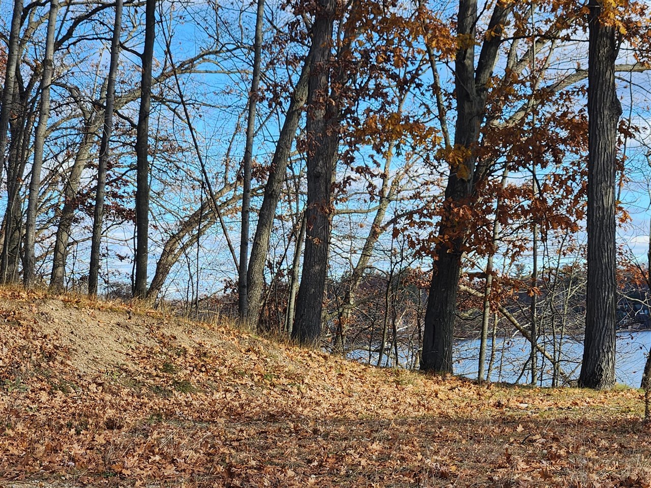 Homes for sale in Stanwood, MI | 10980 N Marywood Dr, Stanwood, MI 49346 | MLS# 70507638