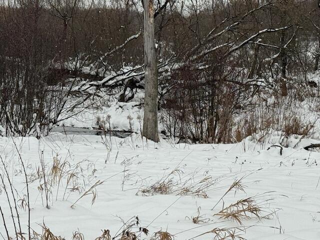 Homes for sale in Reed City, MI | Apache Pass, Reed City, MI 49677 | MLS# 70509101